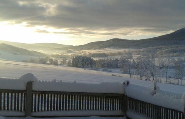 Holiday Apartment Tulpe Schuniglhof - Foto 28