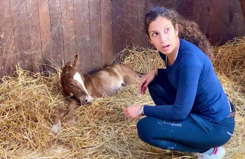 Agriturismo Il Boschetto - Foto 87