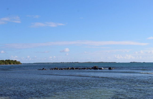 Beachfront Studios - Photo 57