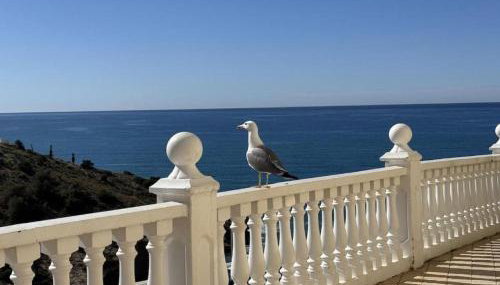 Benidorm, Palm Bay, Levante Beach - Foto 4