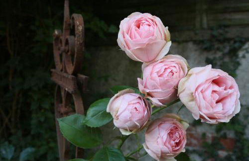 Ökologische Ferienwohnungen - Foto 6