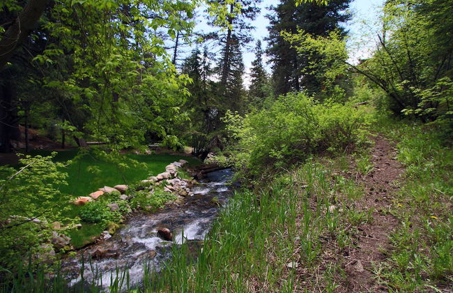 Cottage on the Stream - Photo 20