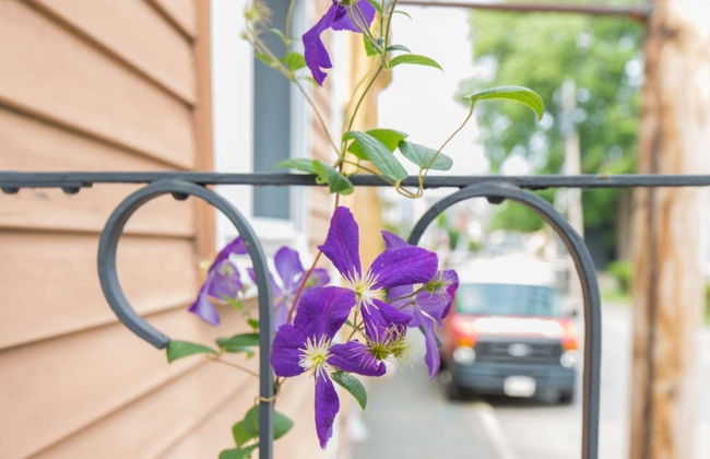 Brackett Cottage - Foto 41