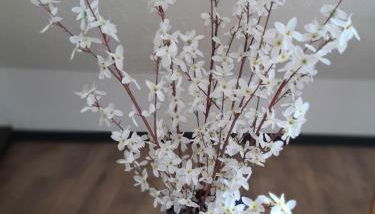 Ferienwohnung "Unter der Löwenburg" - Foto 3