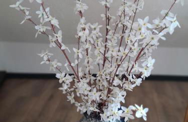 Ferienwohnung "Unter der Löwenburg" - Foto 3