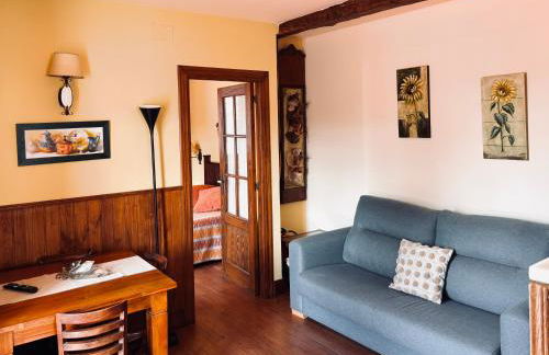 Apartamentos Villa Fresnedo - Foto 45