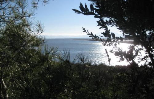 Apartement Pinede - Photo 24