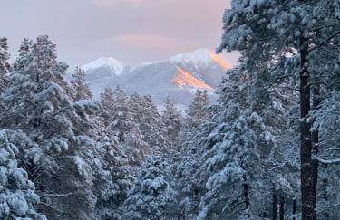 Stay at Coyote Pass - Foto 11