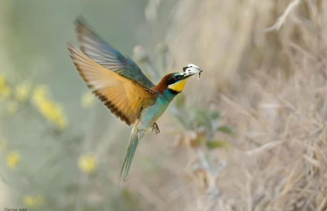 Bed & Breakfast Cortebella - Foto 37