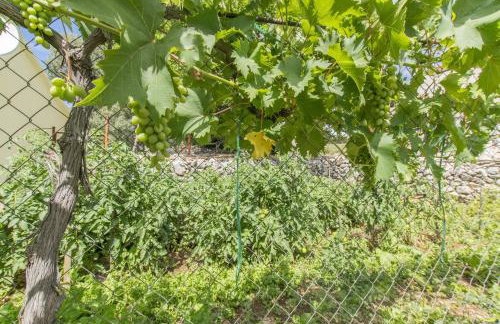 House Green Paradise - Photo 16