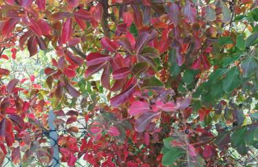 Pizzicalaluna Agriturismo Olistico sulle Colline di Pianoro - Photo 58