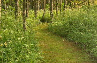 Low Costa Mill - Foto 70