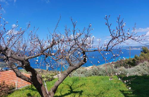 Azure Horizon - Panoramic Myrtos Sea View Apartment - Foto 31