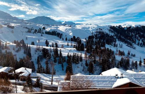 Joli appt 6 pers 2ch Belle Plagne pied des pistes - Foto 17