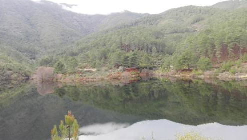 Camino del Morisco - Foto 5