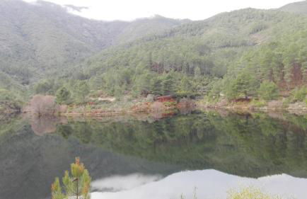 Camino del Morisco - Foto 5