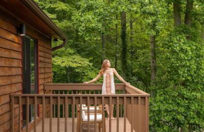 Majestic - Modern Cabin, Hot Tub, & Game Room! - Foto 37