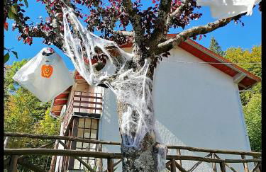 Appartamento La Foresta Abetone - Foto 30