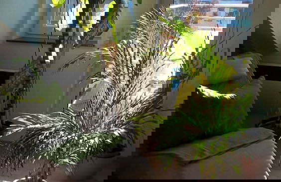 Wohnstube Koeln - Foto 21