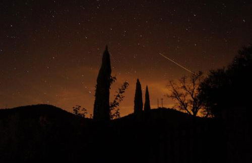 Bancal de Los Pérez - Foto 34