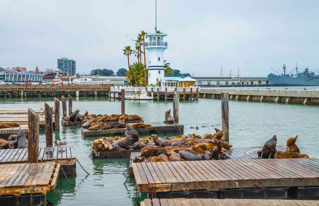 San Francisco Bay Cruise - Photo 4