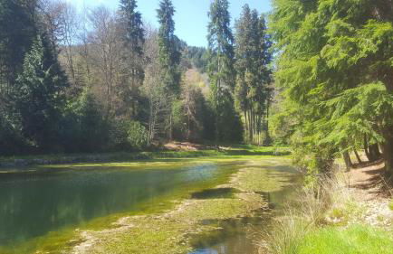 gitesdecampagne - Foto 17