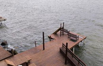 MORADA DOS PÁSSAROS sc - Foto 15