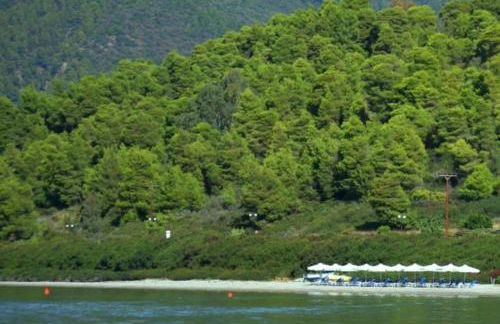 Rent Rooms Alexiou - Photo 56