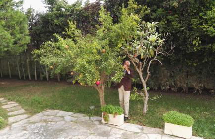 Villa Memia - Foto 55