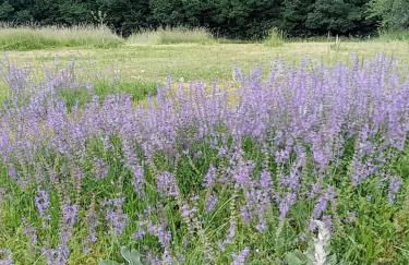 Gîte Périgord Dordogne Rocamadour Sarlat Cahors naturiste juin à sept - Photo 21