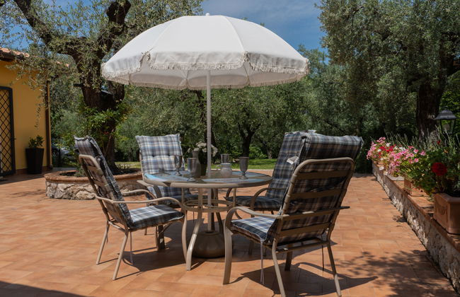 Olive Grove Sabina - Foto 32