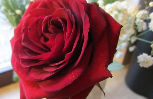 Boardinghouse Wittenberg - Foto 34