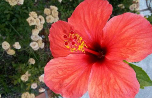 MIRADOR DEL VALLE - Foto 41