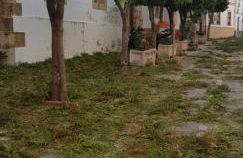 Casita de Rosario - Foto 7