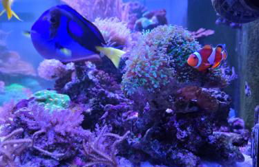 Cherry Orchard Retreat - Photo 27