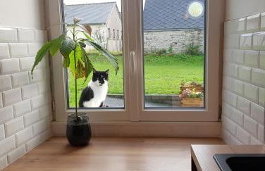 Les 3 mômes - Foto 79