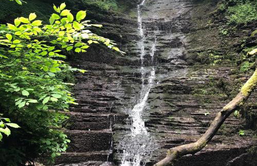 Offa's Dyke Lodge - Uk10835 - Foto 21