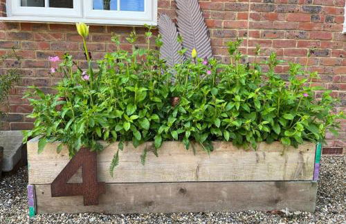 Whitstable The Jolly - Foto 75