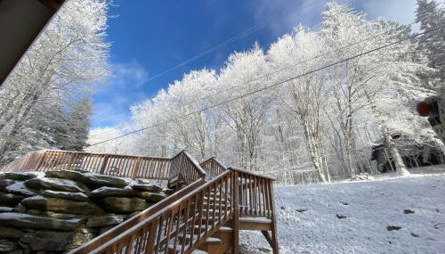 Cozy cabin with boosted Wi-Fi - Foto 5
