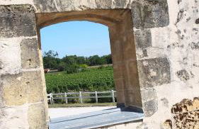 Domaine de Gorre - Foto 66