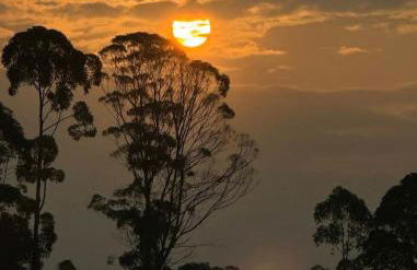 Chalé Sonho Diniz 3 - Foto 43