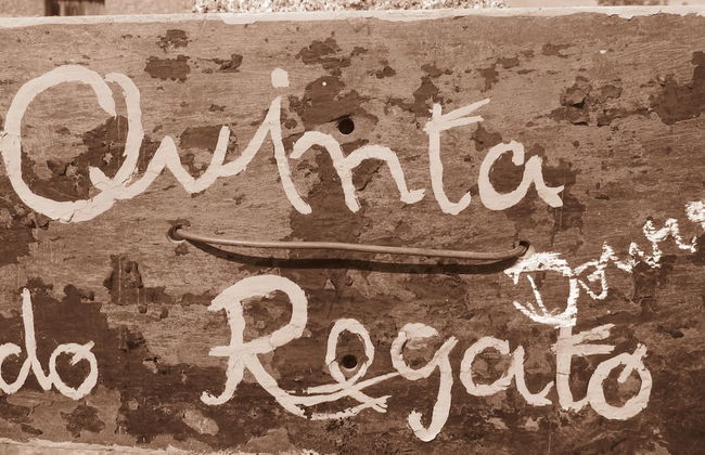 Quinta do Regato Douro - Foto 57