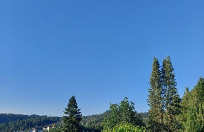 Apartment in Armsfeld With Pool - Foto 27