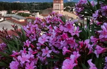 CASA ROSA, Un petit Cocon Catalan - Photo 20