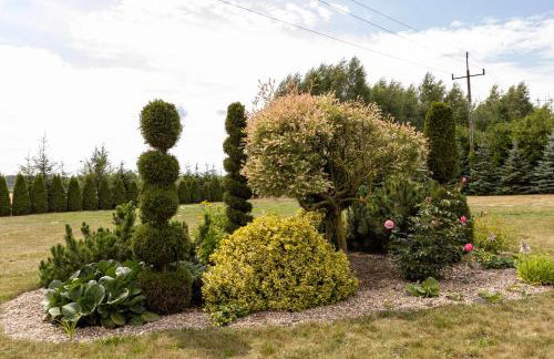 Jak u Dziadka - Foto 22