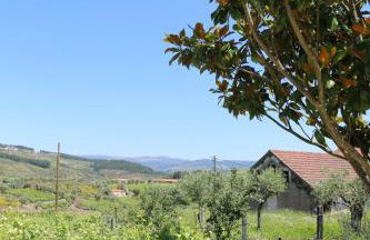 Solar dos Avós - Foto 47