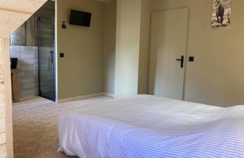 Maison Auvergnate Le repaire des Milans - Foto 40