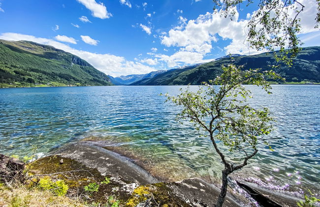 Haukedalspanorama - Foto 27