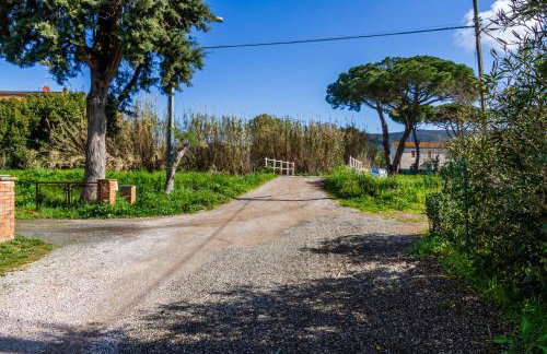 Casa marina Ampio - Castiglione - Photo 22