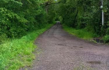 Gîte au coeur de la forêt - Foto 10